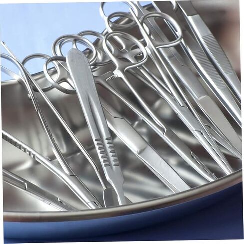 Stainless Steel Tray Kidney Bowl Kidney Shaped Basin Reusable Metal Dish S in Kuwait