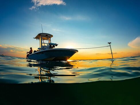 for Shallow Water- 8' Black Anchor Pin Only in Kuwait