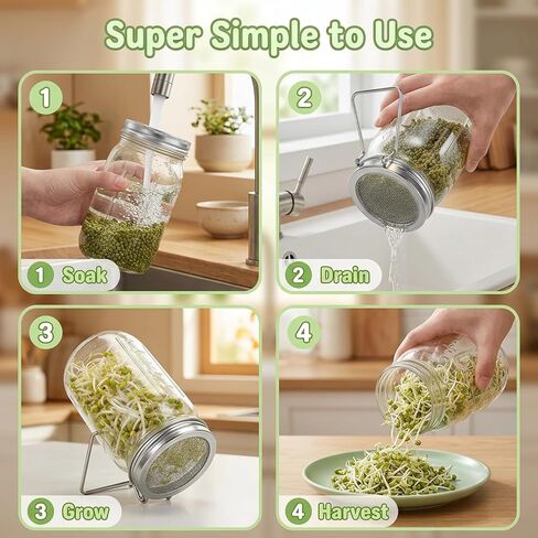 2Pcs Sprouting Jar Lids, Stainless Steel Sprouting Lid with Built-In Stand, Sprouting Lids for Wide Mouth Mason Jars, Sprouting Jar Kit for Daily Kitchen Gardening and Organic Sprouts Cultivation in Kuwait