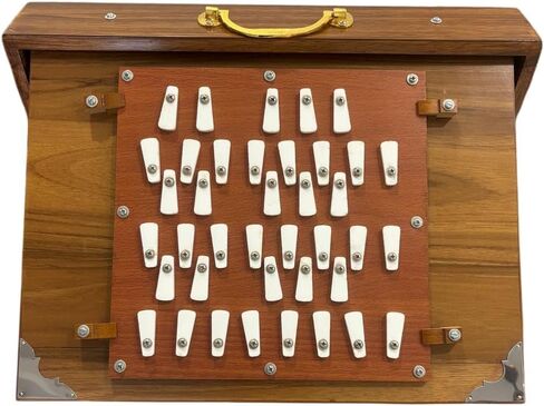 Shruti Box, 36 Keys, 3 Octave, 440Hz (432Hz on request), Teak & Ply, Shruti Box with Foot Pedal in Saudi Arabia