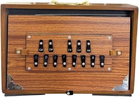 Shruti Box Teak Wood, Musical Instrument Shruti Box With Bag Tuned 440Hz (15" X 10" X 3") in Kuwait
