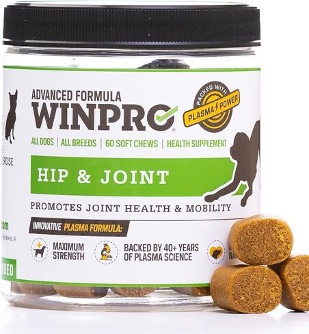 WINPRO Pet دعم الورك والمفاصل، مضغ ناعم خالٍ من الحبوب يعمل بالبلازما، 60 مضغ، مكملات بروتين الدم الطبيعية للكلاب التي توفر مفاصل قوية وصحية، صنع في الولايات المتحدة الأمريكية in Kuwait