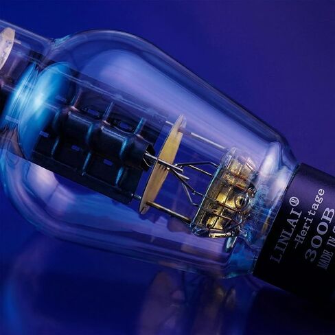 Heritage Series 300B Vacuum Tube Matched Pair (2 Pack) in Kuwait