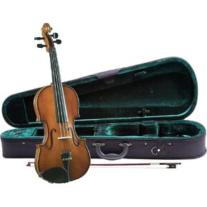 Novice violin set brown in Kuwait