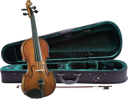 Novice violin set brown in Kuwait
