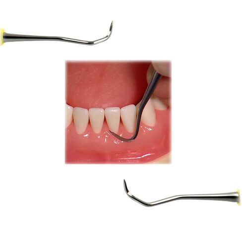 10-Piece Dental Sickle Scaler Set 204S Yellow Silicone Ring Handles, Autoclavable – Supragingival Scaling Instruments for Posterior Teeth, Fine Point Tips in Kuwait