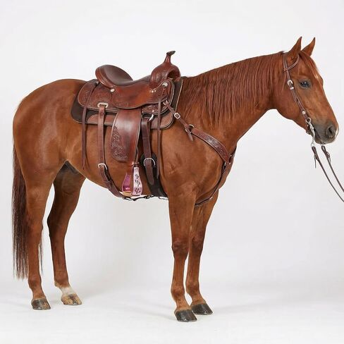 CHALLENGER Horse Western 5" Slanted Offset Angled Cactus Engraved Aluminum Show Stirrups 51243 in Kuwait
