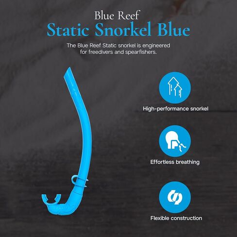 Blue Reef Stern Freediving Scuba Diving، قناع الغطس ومجموعة الغطس، زجاج مقسى بيضاوي، سيليكون لملاءمة مريحة باللون الأزرق in Kuwait