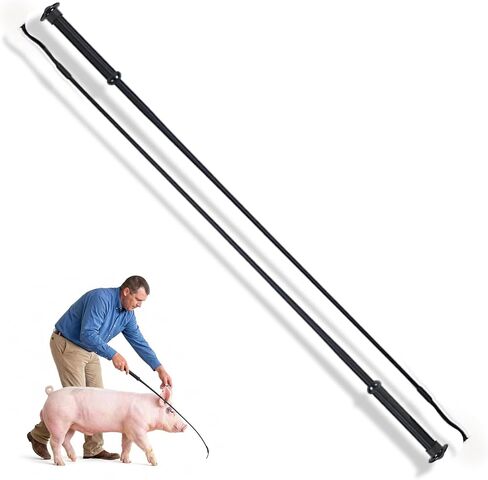 Lontcs 2 Pcs Black Pig Show Whip with Chrome Tip 36 inch – Professional Dressage & Lunge Whip for Horse Show Ring – Leather Handle Equestrian Riding Crop for Training & Showing in Kuwait