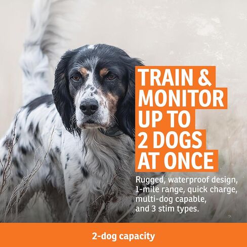 SportDOG Brand SportHunter 1825X Remote Trainer - Static Collar with 1 Mile Range - Rechargeable Dog Training Collar with Static, Vibrate, and Tone - SD-1825X in Kuwait