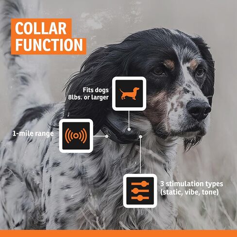 SportDOG Brand SportHunter 1825X Remote Trainer - Static Collar with 1 Mile Range - Rechargeable Dog Training Collar with Static, Vibrate, and Tone - SD-1825X in Kuwait