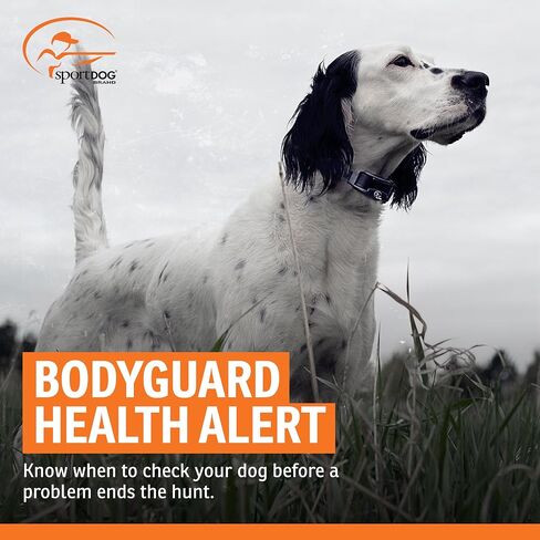 SportDOG Brand SportHunter 1825X Remote Trainer - Static Collar with 1 Mile Range - Rechargeable Dog Training Collar with Static, Vibrate, and Tone - SD-1825X in Kuwait