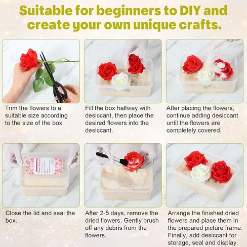 مجموعة أدوات إطار Lewtemi DIY، تجفيف زهرة هلام السيليكا مع حاوية ومجموعة إطار صندوق ظلال مقاس 8 × 8، باقة زفاف DIY، هدية تخرج، حقيبة عرض الذاكرة لمجموعة حفظ الزهور in Kuwait