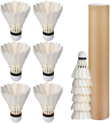 12 Pcs Shuttlecocks, Professional Badminton Shuttlecock Lightweight Training Sport Badminton Balls High Speed Badminton Birdies in Saudi Arabia