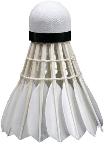 12 Pcs Shuttlecocks, Professional Badminton Shuttlecock Lightweight Training Sport Badminton Balls High Speed Badminton Birdies in Saudi Arabia