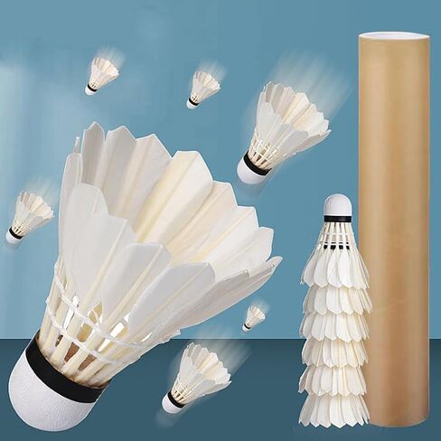 12 Pcs Shuttlecocks, Professional Badminton Shuttlecock Lightweight Training Sport Badminton Balls High Speed Badminton Birdies in Saudi Arabia