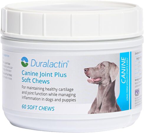 PRN Pharmacal Duralactin Canine Joint Plus - مكمل صحي مشترك للكلاب والجراء لدعم مستويات الغضاريف الصحية ووظيفة المفاصل مع المساعدة في إدارة الألم - 60 مضغًا ناعمًا in Kuwait