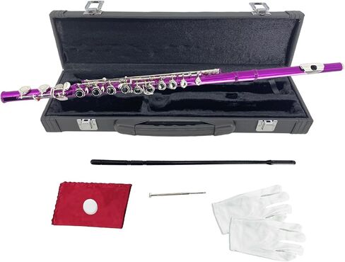Silver Plated 16-Hole C Flute - Perfect for Band & Young Musicians,Closed Hole Design for Easy Learning,Complete Starter Set with Case & Pro Care Kit(silver) in Kuwait