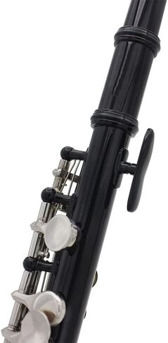 Piccolo Instrument 16 Key of C Piccolo, with Hard Case, Cleaning Rod, Cloth, Guarantee Sound, Piccolo Musical Instrument, for Beginners Students in Saudi Arabia
