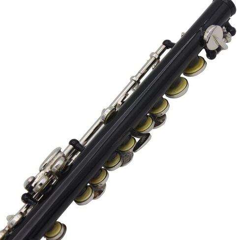 Piccolo Instrument 16 Key of C Piccolo, with Hard Case, Cleaning Rod, Cloth, Guarantee Sound, Piccolo Musical Instrument, for Beginners Students in Saudi Arabia