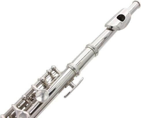 C Key Piccolo Flute, with Hard Case, Cleaning Rod, Cloth, Piccolo Musical Instrument, Guarantee Sound, for Beginners Students in Kuwait
