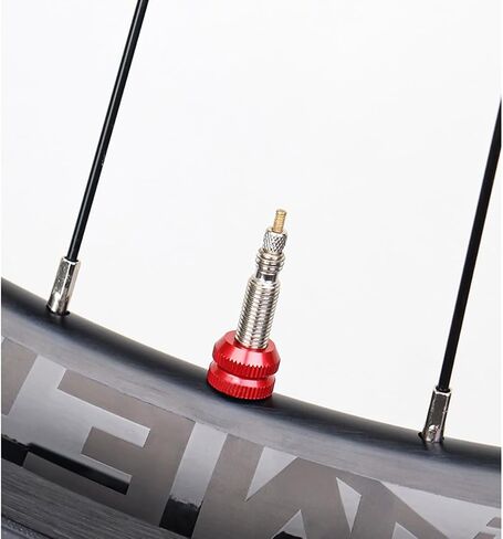 ZYAMY 8PCS Bicycle Tire Vacuum Nut Bicycle Inner Tire with O Ring Seal Road Mountain Bike Vacuum Tire Air Nut Inner Tire Valve 4 Colors for Folding Bicycle Tubular Air Nozzle in Kuwait