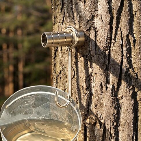 Tree Tapping Kit | Leak-Proof Food-Grade Stainless Steel | Maple Tree Taps | for Sugarbush Sugarhouse Farm Garden Courtyard Backyard Forest in Kuwait