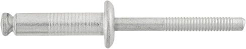 Window Regulator Peel Type Rivets 1/4" Diameter 33/64"-19/32" Grip For Ford GM (50) in Kuwait