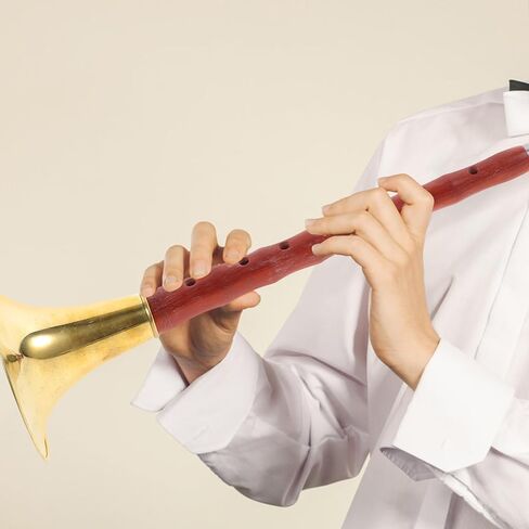 Toyvian Rosewood Suona Ethnic Wind Instrument in C Key with Random Color Plastic Reed, Professional Chinese Folk Brass Instrument for Beginner Practice and Performance in Kuwait