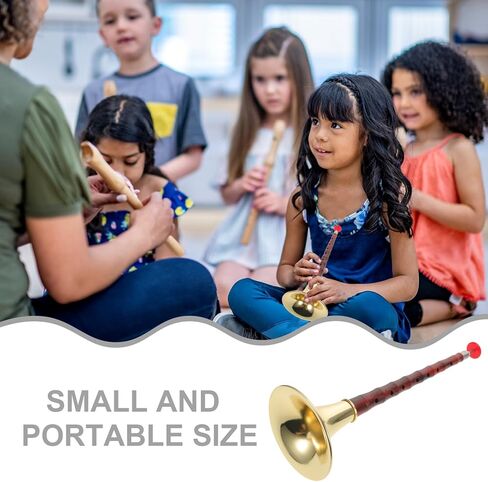 VICASKY Suona in D Key Traditional Chinese Woodwind Instrument for Beginners, Resin Abs Body with Rosewood Finish and Metal Bell, Portable Folk Music Wind Instrument for Music Practice in Kuwait