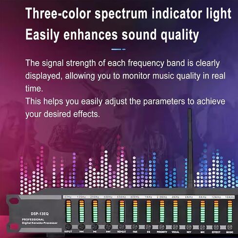 Professional Digital Audio Processor, KTV Digital Pre-stage Effector with Remote Control, Usb BT Fiber Optic Microphone Input, KTV Reverb Howling Processor For Stage, Performance in Saudi Arabia