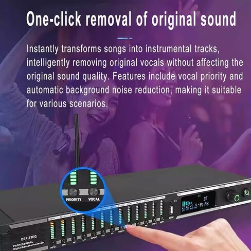 Professional Digital Audio Processor, KTV Digital Pre-stage Effector with Remote Control, Usb BT Fiber Optic Microphone Input, KTV Reverb Howling Processor For Stage, Performance in Saudi Arabia