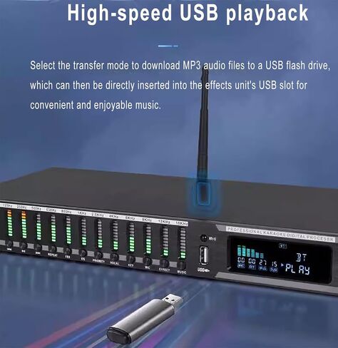 Professional Digital Audio Processor, KTV Digital Pre-stage Effector with Remote Control, Usb BT Fiber Optic Microphone Input, KTV Reverb Howling Processor For Stage, Performance in Saudi Arabia