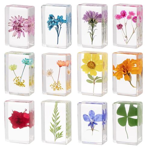 12 Pcs Real Pressed Flower Resin Paperweights - Botanical Specimen Collection for Home Desk Decor, Science Education, and Unique Display Supplies in Saudi Arabia