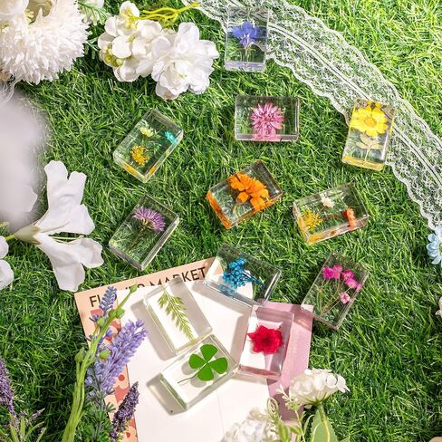 12 Pcs Real Pressed Flower Resin Paperweights - Botanical Specimen Collection for Home Desk Decor, Science Education, and Unique Display Supplies in Saudi Arabia