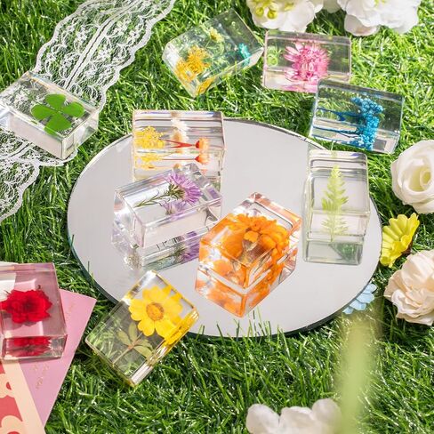 12 Pcs Real Pressed Flower Resin Paperweights - Botanical Specimen Collection for Home Desk Decor, Science Education, and Unique Display Supplies in Saudi Arabia