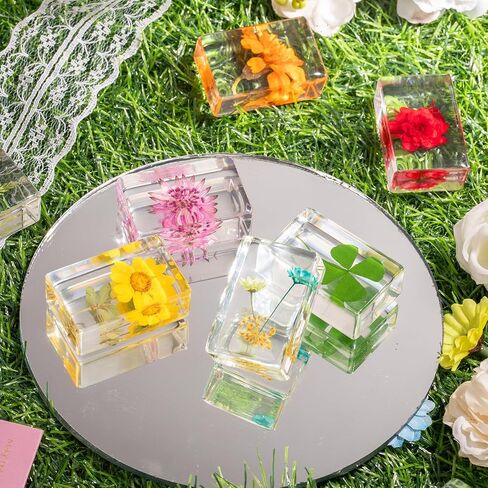 12 Pcs Real Pressed Flower Resin Paperweights - Botanical Specimen Collection for Home Desk Decor, Science Education, and Unique Display Supplies in Saudi Arabia
