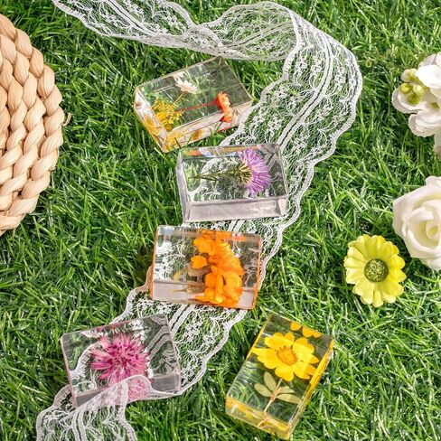 12 Pcs Real Pressed Flower Resin Paperweights - Botanical Specimen Collection for Home Desk Decor, Science Education, and Unique Display Supplies in Saudi Arabia