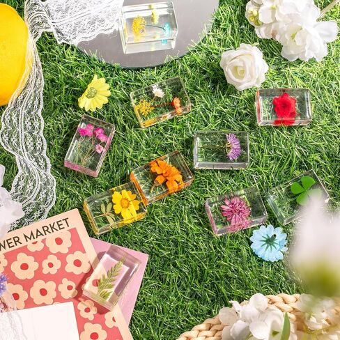 12 Pcs Real Pressed Flower Resin Paperweights - Botanical Specimen Collection for Home Desk Decor, Science Education, and Unique Display Supplies in Saudi Arabia