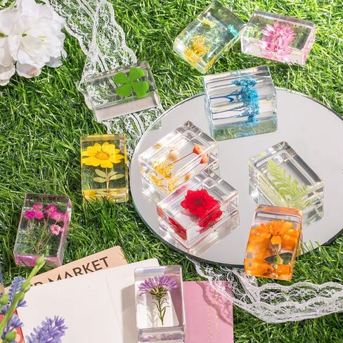 12 Pcs Real Pressed Flower Resin Paperweights - Botanical Specimen Collection for Home Desk Decor, Science Education, and Unique Display Supplies in Saudi Arabia