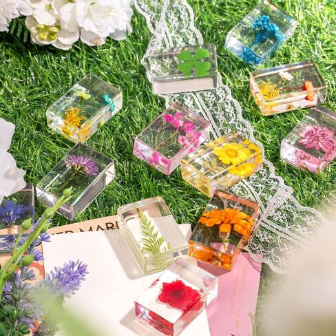 12 Pcs Real Pressed Flower Resin Paperweights - Botanical Specimen Collection for Home Desk Decor, Science Education, and Unique Display Supplies in Saudi Arabia
