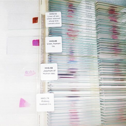 Set of 100 Microscope Prepared Typical Histology Slides for Medical Studay Education Teaching (Human Histology Slides Set (Export Standard) in Kuwait