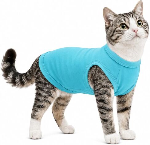 2018 Pet Clothes Dog Clothing Blank T-shirt Tanks Top Vests for Small Middle Large Size Dogs 100% Cotton Dog Summer Vest Classic (XS, Black) in Saudi Arabia