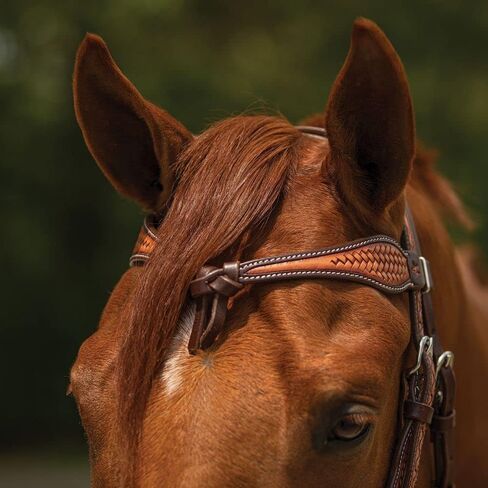 شنايدرز دبل إس Basketweave Futurity Browband Headstall | تصميم Basketweave ملفت للنظر | قابل للتعديل مثالي للاستخدام اليومي | جودة اللجام | حجم الحصان الكامل in Kuwait