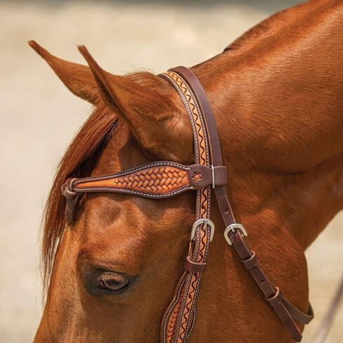 شنايدرز دبل إس Basketweave Futurity Browband Headstall | تصميم Basketweave ملفت للنظر | قابل للتعديل مثالي للاستخدام اليومي | جودة اللجام | حجم الحصان الكامل in Kuwait