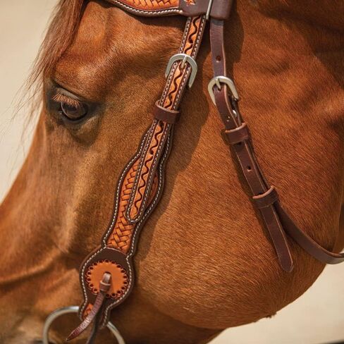 شنايدرز دبل إس Basketweave Futurity Browband Headstall | تصميم Basketweave ملفت للنظر | قابل للتعديل مثالي للاستخدام اليومي | جودة اللجام | حجم الحصان الكامل in Kuwait