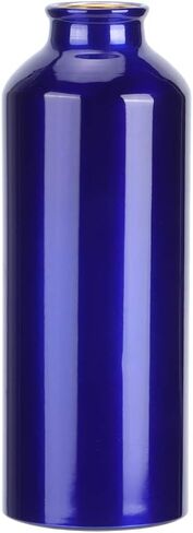 Lightweight, Portable Aluminum Sports Water Bottle, Easy to Clean, 500ml, Blue, for Gym Fitness Cycling Hiking Climbing Traveling in Kuwait