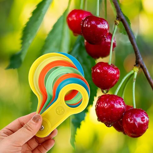 SEWACC 2 Sets Fruit Measuring Circles and Diameter Gauge Rings for Accurate Fruit Size Grading and Sorting, Vegetable Radius Measuring Tool for Pears and Harvest Picking in Kuwait