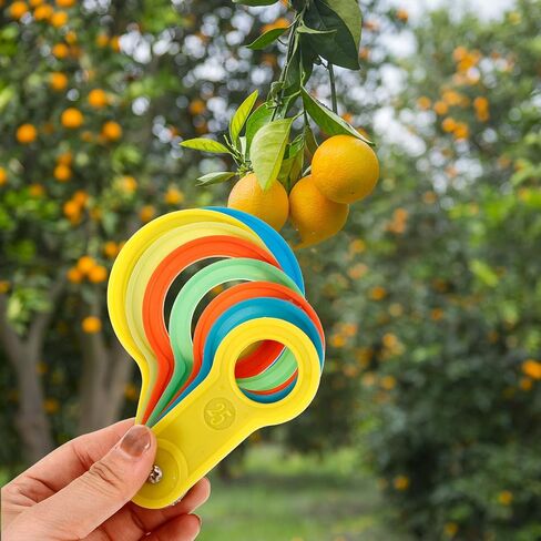 SEWACC 2 Sets Fruit Measuring Circles and Diameter Gauge Rings for Accurate Fruit Size Grading and Sorting, Vegetable Radius Measuring Tool for Pears and Harvest Picking in Kuwait