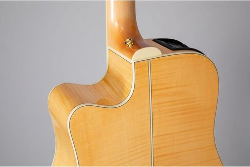 Takamine GD74CE Unison 12-string Acoustic-electric Guitar - Natural in Saudi Arabia